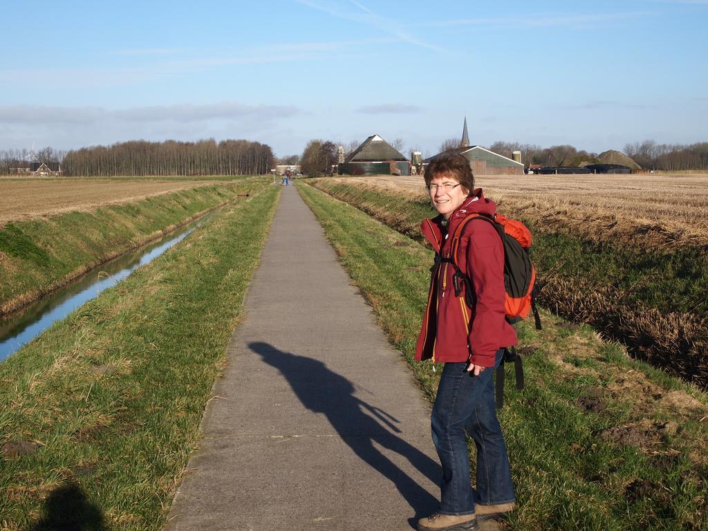 Wehe-den Hoorn De Energiek Bed & Breakfast エクステリア 写真