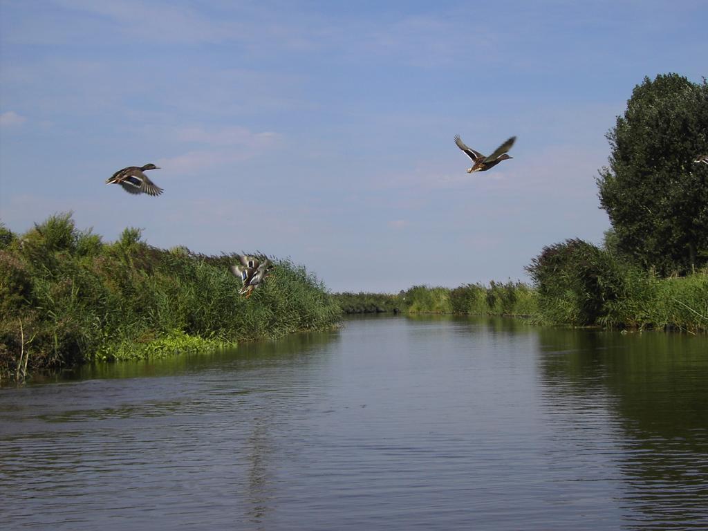 Wehe-den Hoorn De Energiek Bed & Breakfast エクステリア 写真